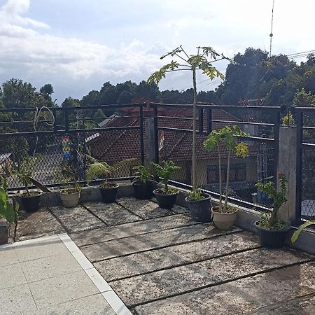 Puri Pilihani Hostel Munduk Buitenkant foto