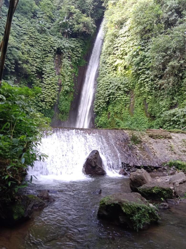 Puri Pilihani Hostel Munduk Buitenkant foto